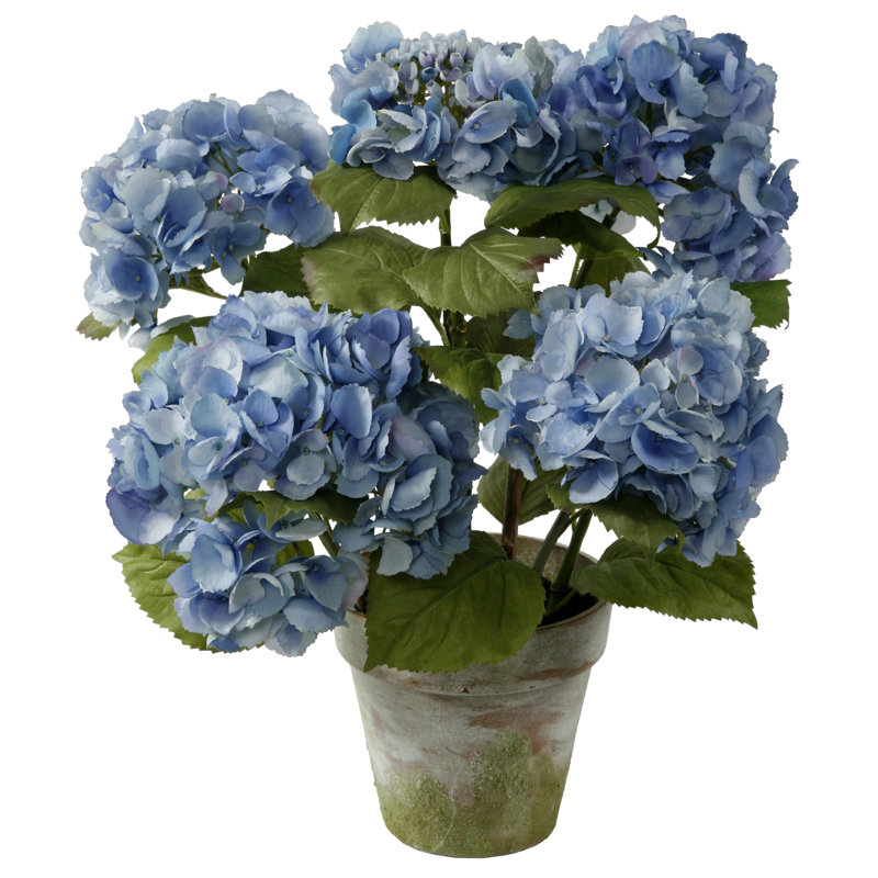 Winward Silks Hydrangea Floral Arrangement in Terracotta Pot & Reviews